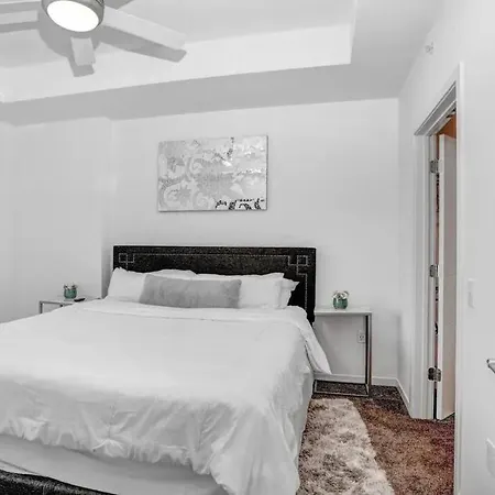 Appartamento Urban Chic 1Br Downtown Tampa Pool & Balcony Views Esterno foto